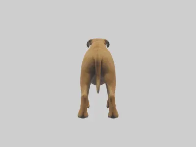 Bull Mastiff guarding model Low-poly 3D model