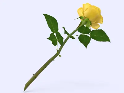 Rose 22 3D model