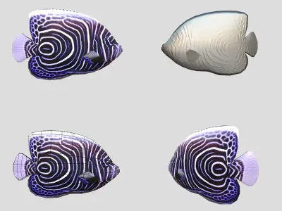 Fish Collection Animated - Game Ready Pack 6 Low-poly 3D model