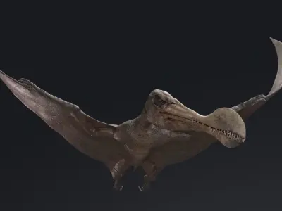 Dinosaur Tropeognathus dinosaur flying Low-poly 3D model