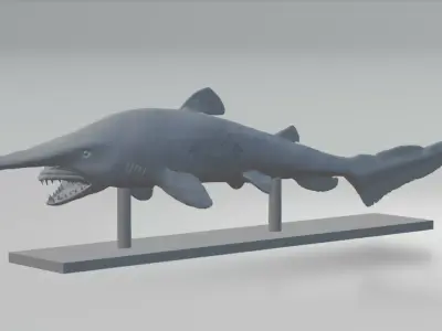 Goblin Shark Model 3D model