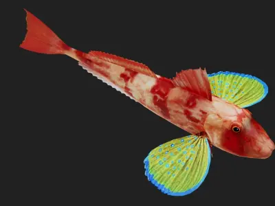 Bass fish Low-poly 3D model