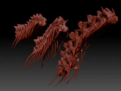 Dinosaur Spinosaurus Tyrannosaurus Giganotosaurus Neck Skeletons 3D model