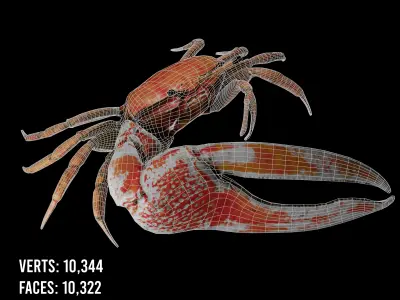 Crab Low Poly with PBR Textures Low-poly 3D model