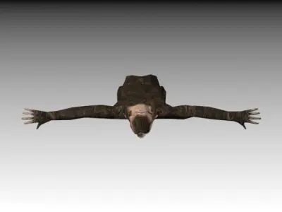 CHIMPANZE monkey 3D model