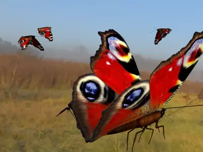 butterfly animation Low-poly 3D model