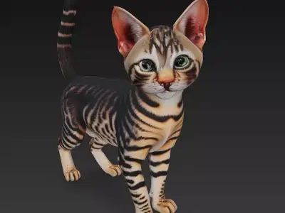 Cat Tabby Realistic 3D Model Basic - Low Poly Realistic Low-poly 3D model