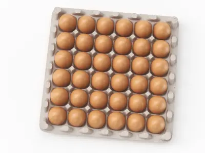 Egg Carton 3D Model purchase