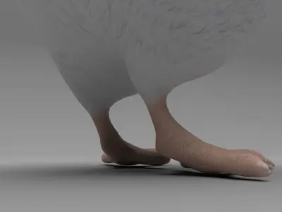 Chicken Low-poly 3D model