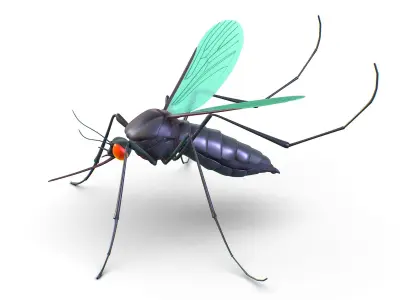 High Poly Big Realistic Mosquito Low-poly 3D model