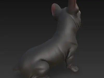 French Bulldog Dog Realistic 3D Model - Low Poly Realistic Low-poly 3D model