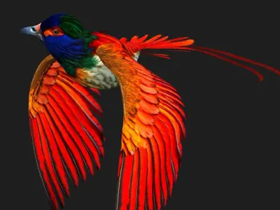 PheasantBird B6 3D model