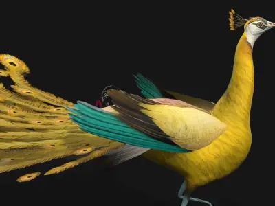 Peacock A2 3D model