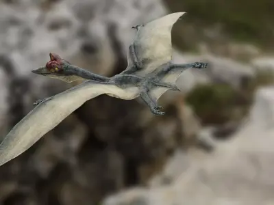 Quetzalcoatlus - Cretaceous Pterosaur Flying Reptile Low-poly 3D model