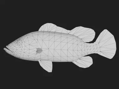Bass fish Low-poly 3D model