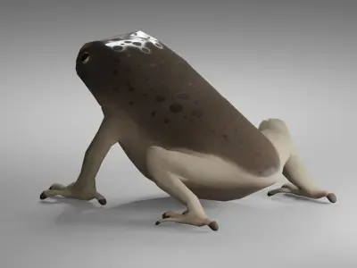 Brown Frog Low-poly 3D model