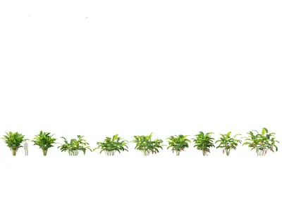 Heliconia rostrata - Hanging lobster claw 3D model