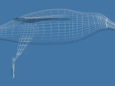 Albatross seagull Low-poly 3D model