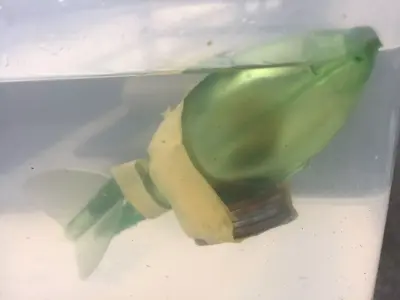 Fishing floats Free 3D print model