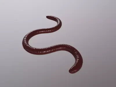 EARTHWORM worm Low-poly 3D model