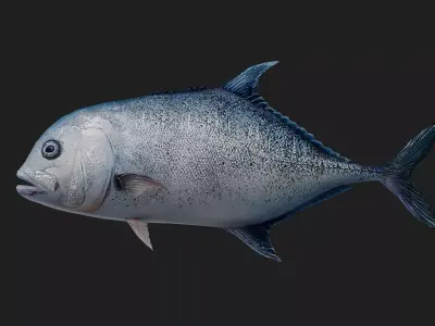 Trevally Low-poly 3D model