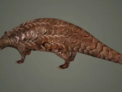 mammal african maya pangolin asian asia animal 3D model