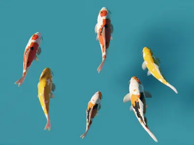 Koi Japanese carp Low-poly 3D model