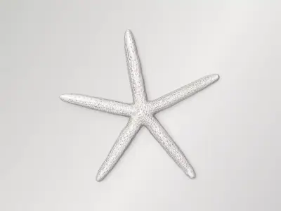 Finger Starfish Low-poly 3D model