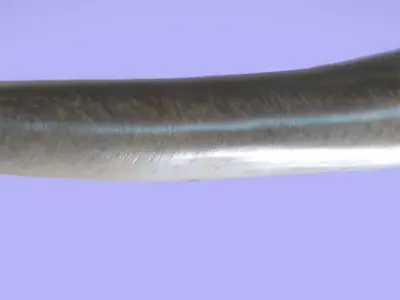 Elasmosaurus Low-poly 3D model