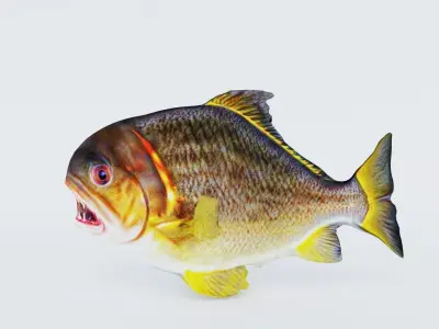 Piranha Free 3D model