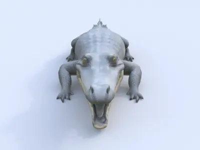 Gharial 3D model