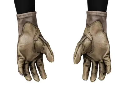 OUTDOOR RESEARCH OVERLORD GLOVES Low-poly 3D model