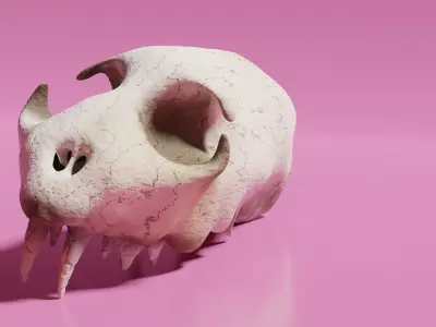 Cat Skull Free 3D model