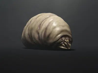 Land Larva1 - Game Ready Low-poly 3D model Low-poly 3D model