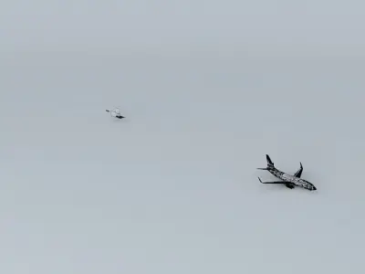 EuroExpress Boeing 737 700 Free 3D model