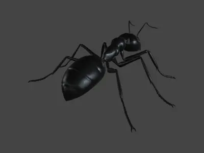 ANTS-001 Rigged Black Ant Low-poly 3D model