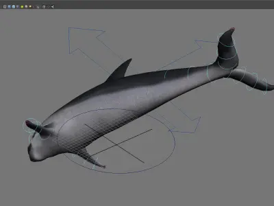 dolphin animal porpoise cetaceans whale marine dauphin 3D model