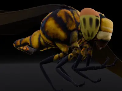 Dragonfly Animated 3D Model Low-poly 3D model