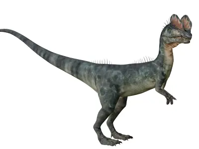 Dilophosaurus 3D Model dinosaur Low-poly 3D model