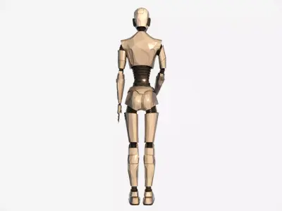 Silver Gynoid Futuristic Humanoid Robot Model Low-poly 3D model