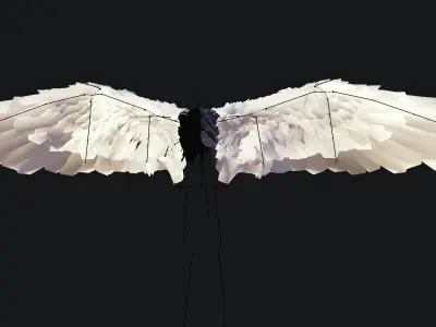 Wing angel 3d model Low-poly 3D model