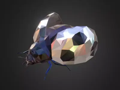 Bug Ladybug White Low Polygon Art Insect Low-poly 3D model