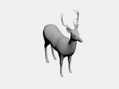 Deer-wild animals 3D model