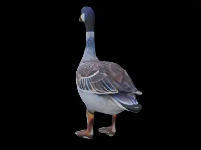 Realistic Goose LOW POLY Low-poly 3D model