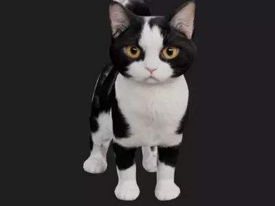 Black and white cat 3D model