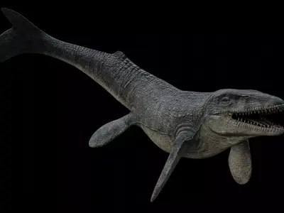 Mosasaurus Mosasaur Low-poly 3D model