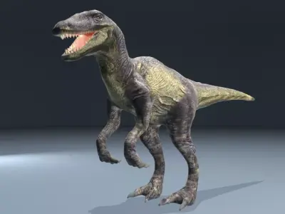 This dinosaur model  Raptor Low-poly 3D model