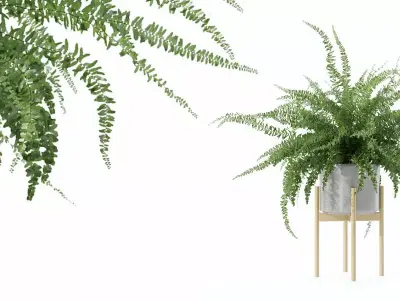Big fern in modern flower pot Free 3D model