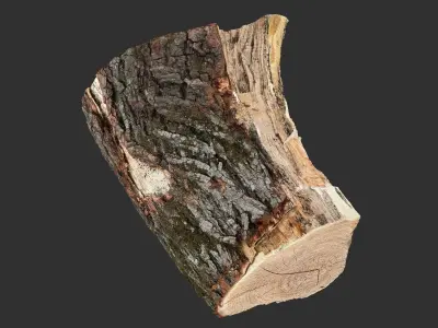 A peeling piece of wood 3d scan in highpoly 3D model