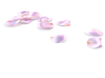 Realistic Rose Petals 3D Model - Ultra-High Quality 4K PBR Asset 3D model